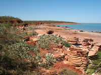Amazing colours and patterns, Roebuck Bay